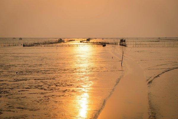 Voyage sur mesure : Émerveillez-vous en asie et amérique latine